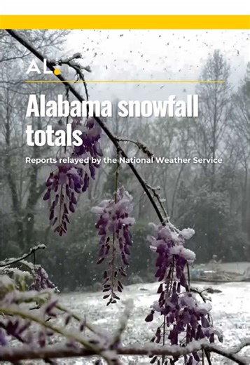 Alabama snowfall totals as related by the National Weather Service. #snow #snowday #snowfall #weather