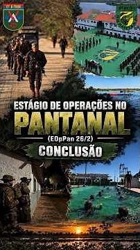 🔰FORGED IN THE PANTANAL! 🐊🇧🇷⚡
