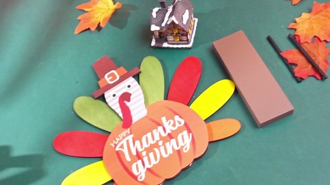 Wesiti 2 Pcs 12" Thanksgiving Turkey Decor Wooden Indoor Standing Tabletop Turkey Pumpkin Decor Thanksgiving Fall Rustic for Autumn Table Shelf Harvest Day Decorations