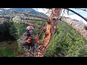 How Dead is TOO DEAD to climb?