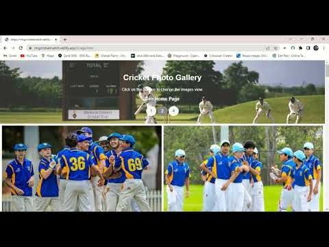 Website Projects - Cricket match website | Amazing Cricket-Match-Website | FullStack development