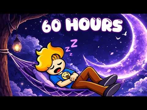 60 Hours of Haminations (Help you sleep better 😴)
