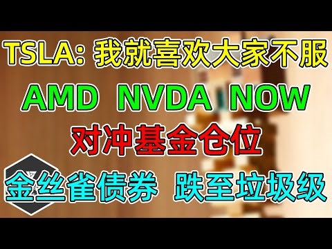 美股 TSLA：我就喜欢大家不服！对冲基金仓位变化！AMD、NVDA！NOW大幅回吐回归！警报：金丝雀债券跌至垃圾级！