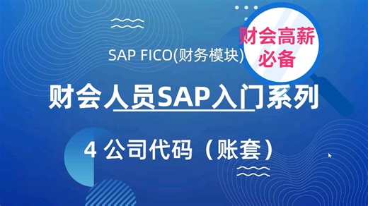 30天学会SAP系列SAP入门课：SAP公司代码#sapfico #sap视频 #sap #sap系统学习 #sap系统 #sap教程