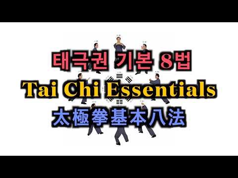 Tai Chi 8 Essential Methods Introduction | 태극권 기본팔법 소개 | 太極拳基本八法介紹