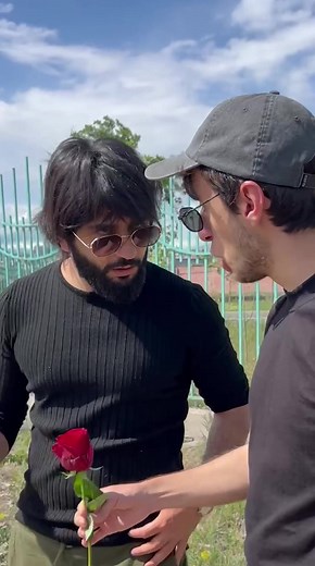 Exploring Ape Personality Traits and Characteristics