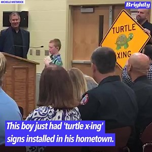 An Indiana boy who wrote an adorable letter to his city mayor asking for "turtle crossing" signs is now a hometown hero. https://gma.abc/33nr429 | Good Morning America