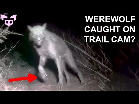 Most Viewers Are Too Scared to Watch This!