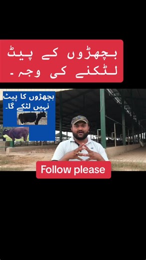 #onthisday #worldanimalday #dairyfarming #foryou #virall #vet