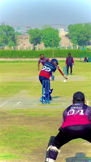 White Ball Bowling in Cricket: A Fun Perspective