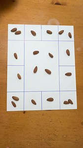 Einstein Rock Paradox, What is the explanationShareRemixfor this? Comment if you know. | Olga P