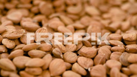 Some shelled Apricot Kernels on a rotating plate (seamless loopable) | Premium Stock Video Footage
