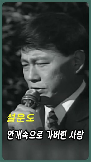 설운도 - 안개속으로 가버린 사랑 #전통가요 #정통트로트 #힐링카페 #오기택 #조미미 #트로트 #박일남