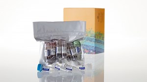 TNT® Quick Coupled Transcription/Translation System