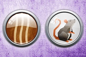 Chinese Horoscope: What is a Wood Rat and what year is it?