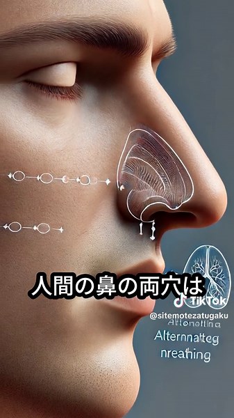 人体に関する雑学知っていることがあればコメント欄へ！ #雑学 #雑学豆知識 #豆知識 #知りたくなかった雑学 #fyp