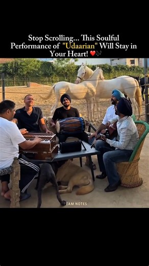 Udaarian ❤️🎤 Beautiful Outdoor Punjabi Jam Session ✨ #Shorts #Viral #Music