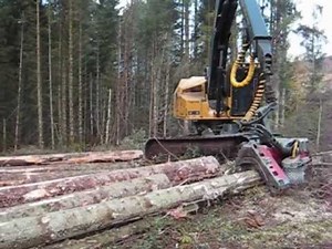 Tigercat Harvester cutting nice spruce.