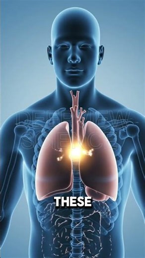 Human Physiology: How Your Body Really Works #facts #science