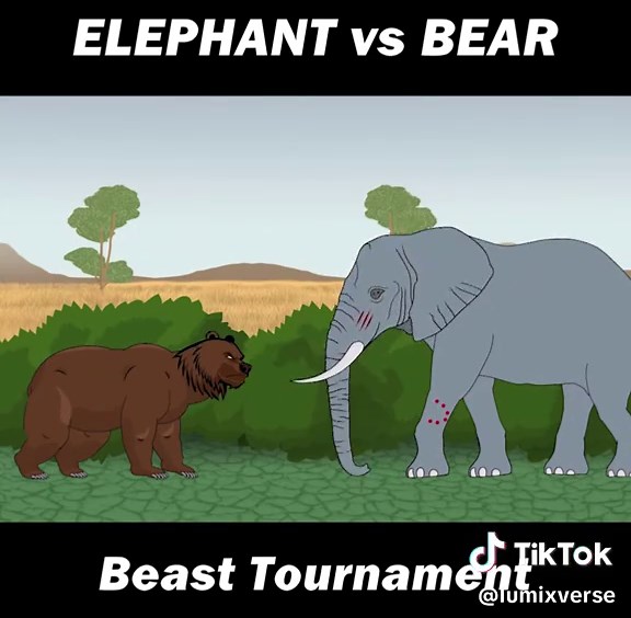 Elephant vs Bear: Exciting Animal Tournament Animation