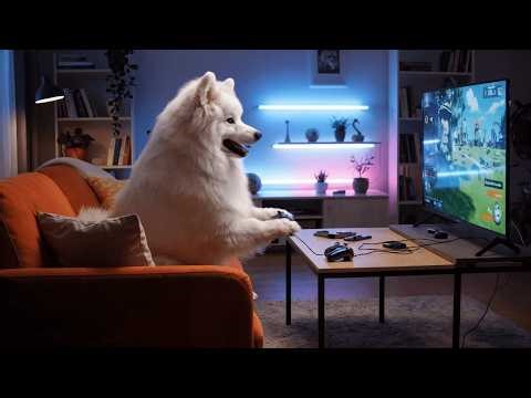 Cozy Routine of Cute Animals Everyday Chores ASMR✨