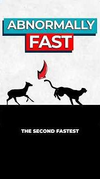 Scientists Discover Cause of Nature's Long Distance Sprinter