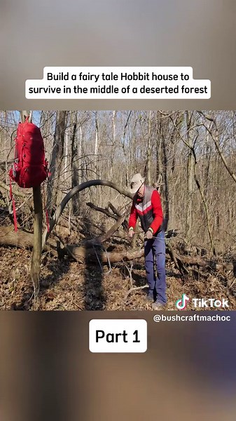 Basically Homeless on TikTok