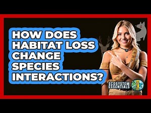 How Does Habitat Loss Change Species Interactions?