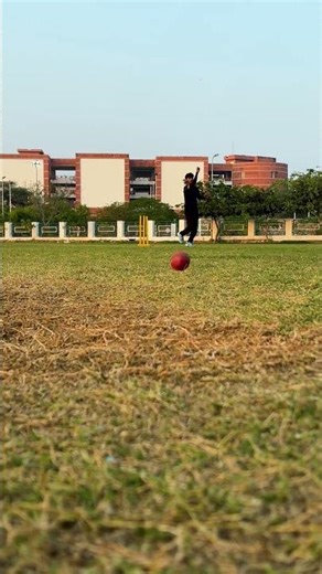 Let the ball do the talking🎯#cricket #legspin #bowling