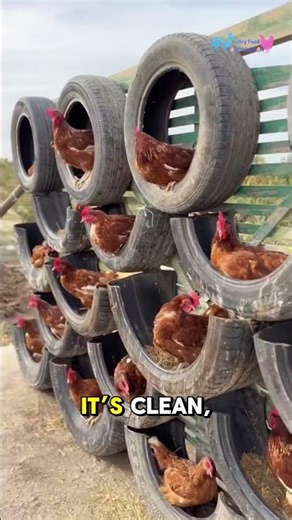 DIY Tire Chicken Nesting Boxes | Genius Backyard Chicken Hack! 🐔 #homesteadlife #freerangechickens