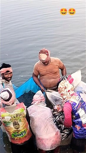 Catching Fish //Fish Catching #fish #shorts