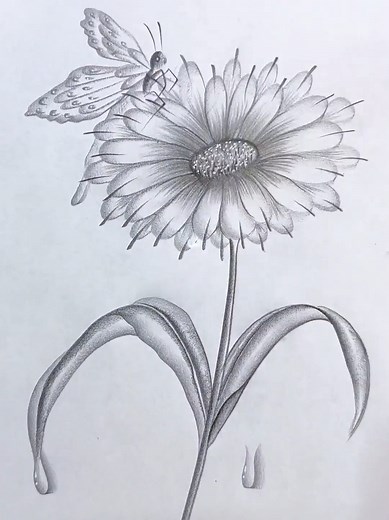 How to Draw with a Pencil: Step-by-Step Guide