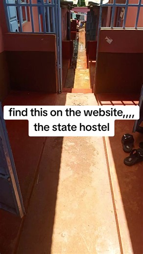 Hostel Guide: What Is a University Hostel and Sungate/Ischia Options