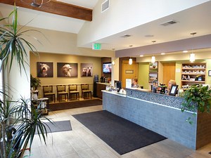 About Our Longmont Vet Clinic