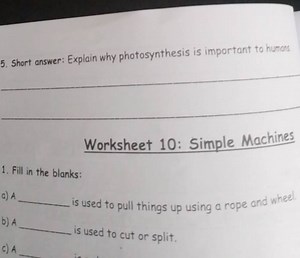 Explain why photosynthesis is important to humans.... | Filo