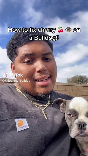 Dickson Family Kennels on TikTok