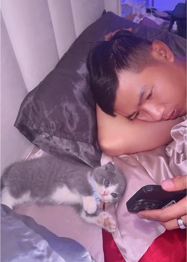 Chào cô chú ! Con là Bia , con trai của ba Phúc #Meow #Phucreviewnghiemtuc #review #memeo