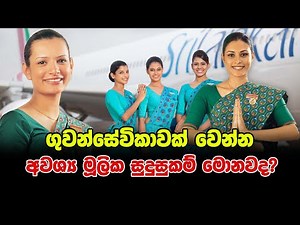 Basic Qualifications Required to Become an Air Hostess..