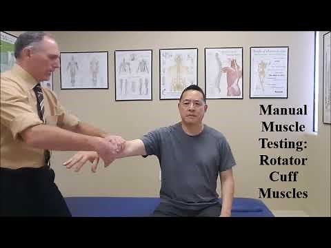 Manual Muscle Testing - Rotator Cuff