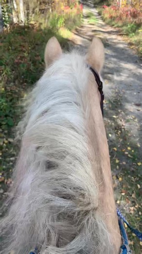 What a nice ride today 💕#