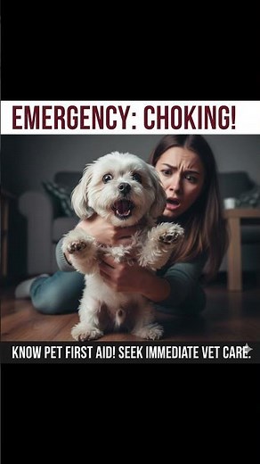 How to Save a Choking Dog (Vet's First Aid Steps) #petdoctor #dog #vet