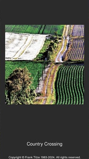 008561 - Country Crossing