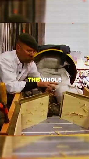 Pirates Feared Wooden Splinters More Than Cannonballs MythBusters Fired A Real Cannon #shorts
