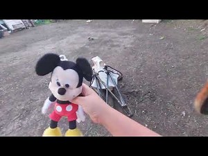 Mickey mouse beach ball tantrum