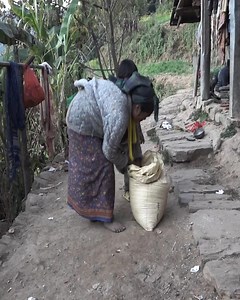 321K views · 1.9K reactions | Traditional rural village culture | Primitive life | My village official videos | Harvest Village | Facebook