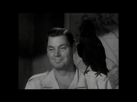 Jungle Jim 1948 Adventure