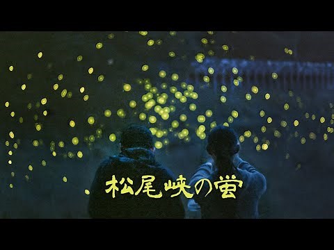 月夜の蛍 長野県松尾峡 5000匹の蛍の乱舞 - Fireflies in the moonlight - (shot on BMPCC4K)