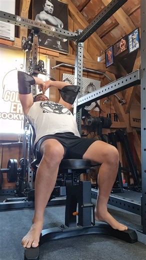 Golden Era Bookworm on Instagram: "DIY Machine Pullovers. Using my @bellsofsteel cable tower I was able to create my DIY machine pullover. The stretch at the start position is not as the original Nautilus machine but it does an OK job of stimulating the latissimus without involving arm work, so I throw it in at the end of my workouts. #bodybuilding #muscle #gym #fitness #back #art #history #healthy #machine"