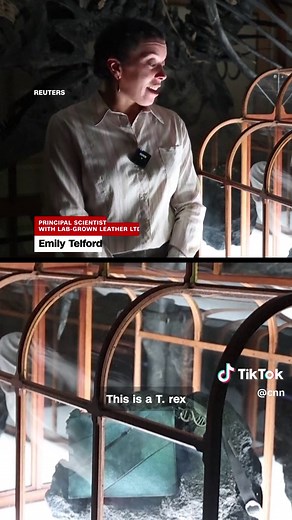 An experimental garment company worked with scientists to create a one-of-a-kind “T. rex leather” bag using protein fragments from fossils to grow collagen in a lab, now on display in Amsterdam. #CNN #News