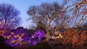 Here are the holiday festivities happening across Hampton Roads